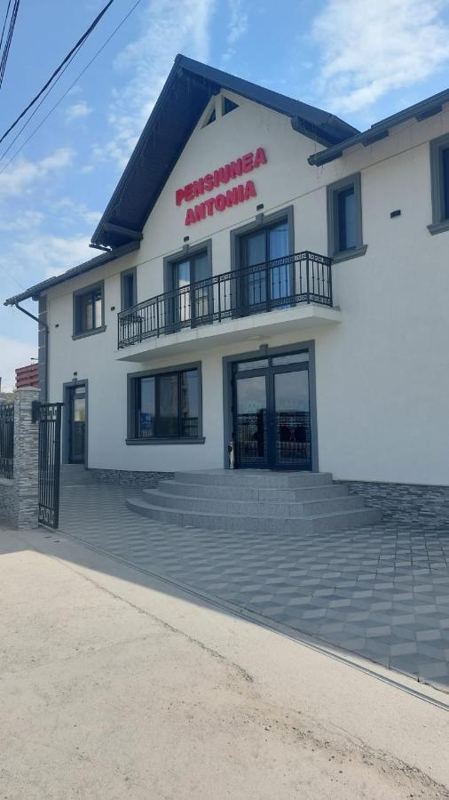 Pensiunea Antonia Syhot Marmaroski Zewnętrze zdjęcie