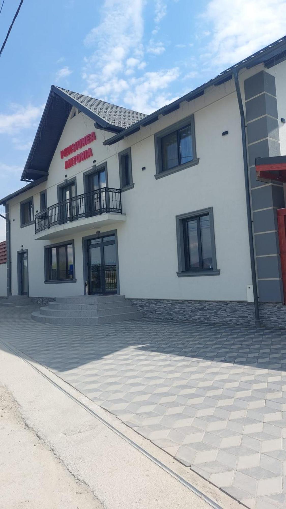 Pensiunea Antonia Syhot Marmaroski Zewnętrze zdjęcie