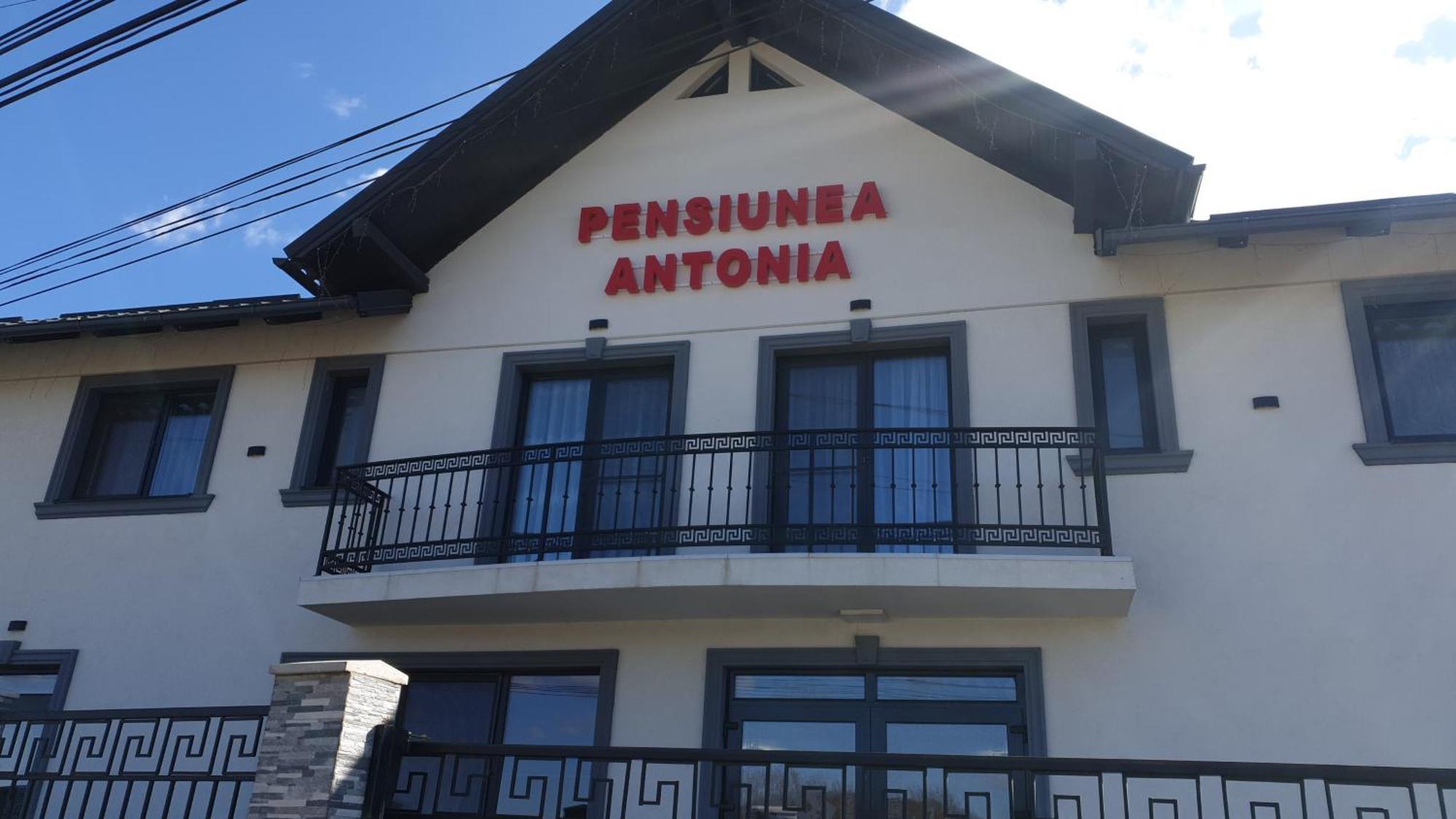 Pensiunea Antonia Syhot Marmaroski Zewnętrze zdjęcie
