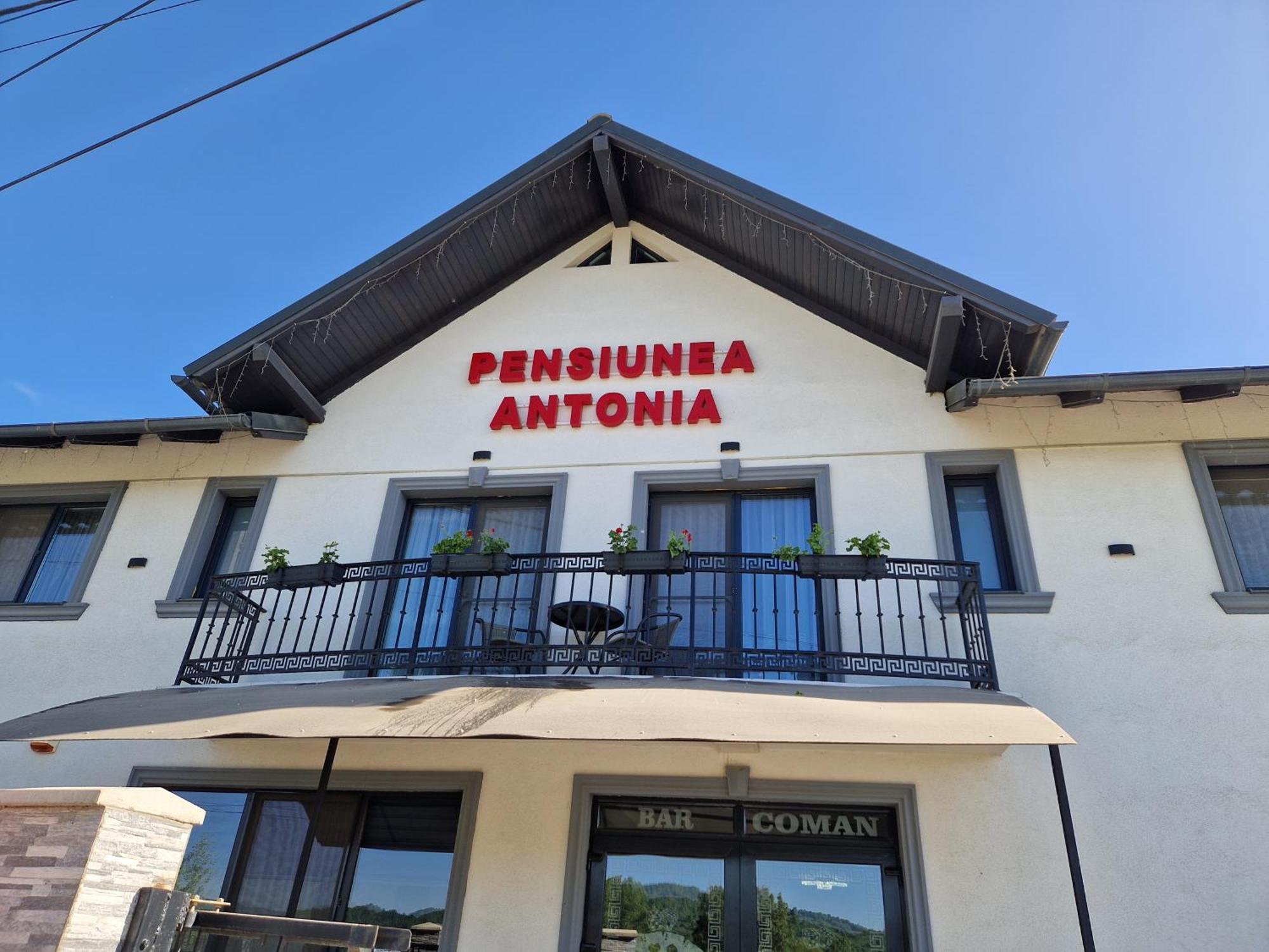 Pensiunea Antonia Syhot Marmaroski Pokój zdjęcie