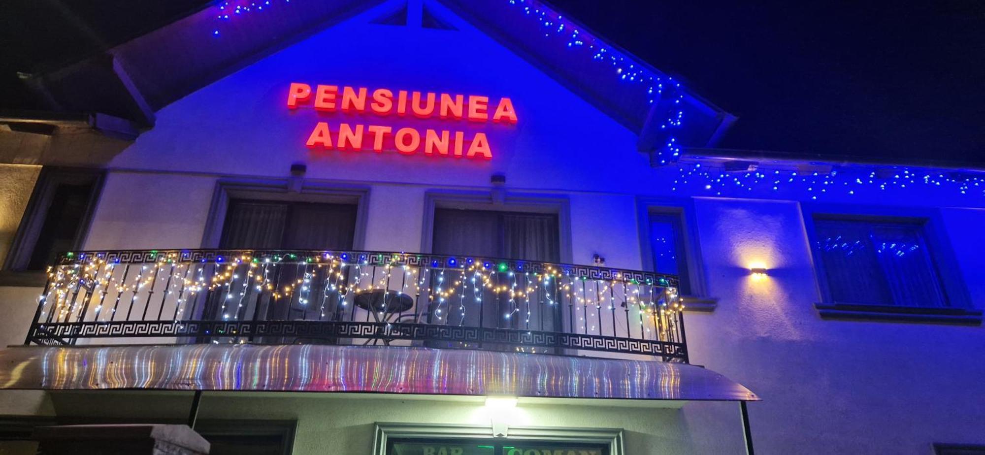 Pensiunea Antonia Syhot Marmaroski Zewnętrze zdjęcie